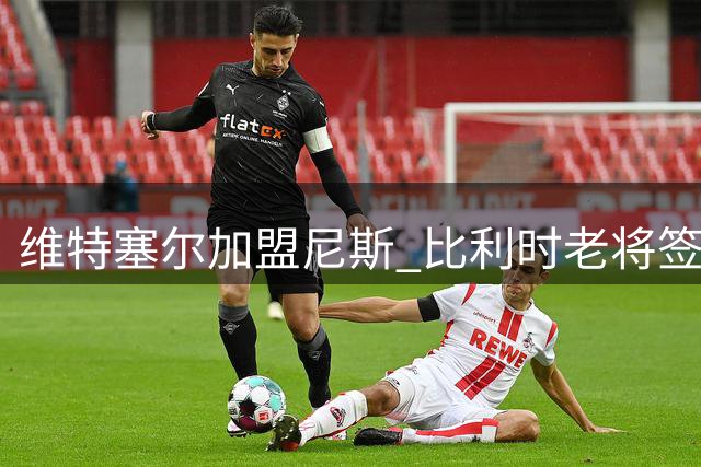 维特塞尔加盟尼斯 比利时老将签订1+1合约