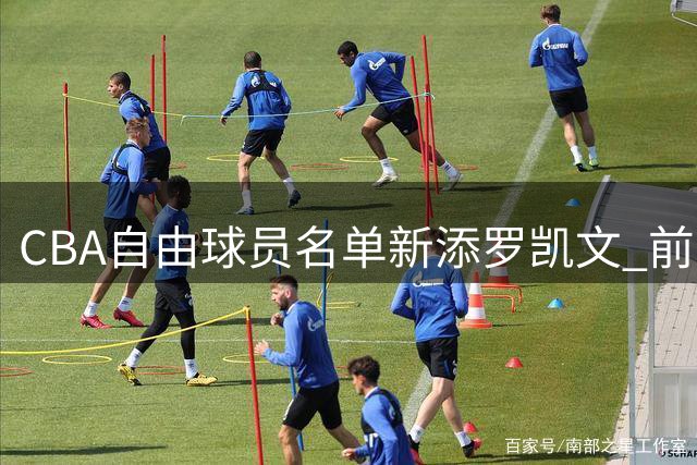 CBA自由球员名单新添罗凯文 前宁波队球员入列